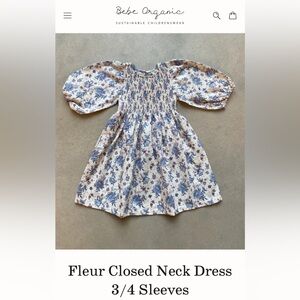 Bebe Organic Fleur Closed Neck Dress 3/4 Sleeves Sky Rose
